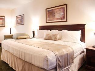 Best Western Jacksonville Inn 部屋 写真